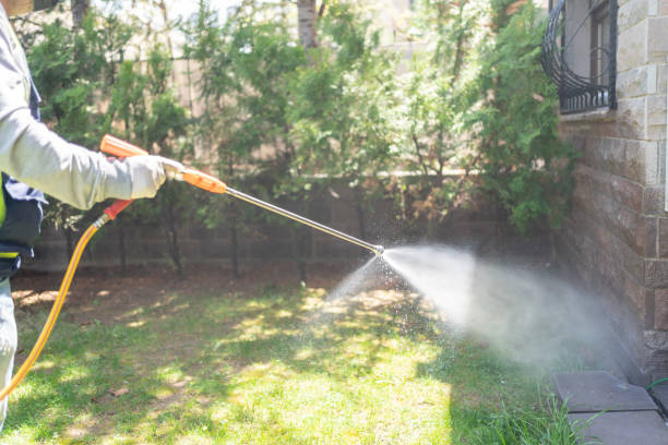 Professional Pest Control in Fountain Valley, CA